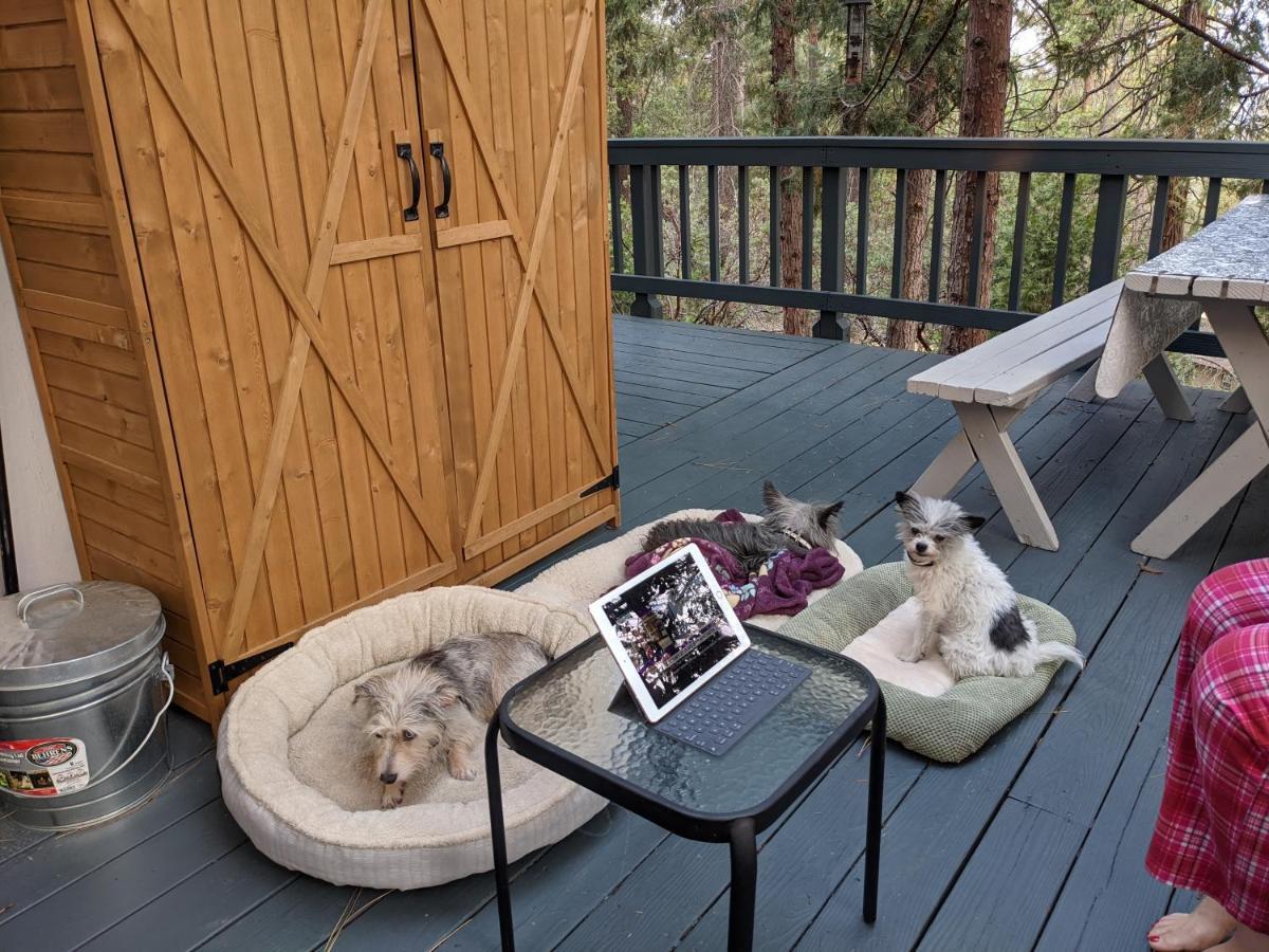 Breckenridge Chalet Near Yosemite. Dog Friendly! Гровленд Экстерьер фото